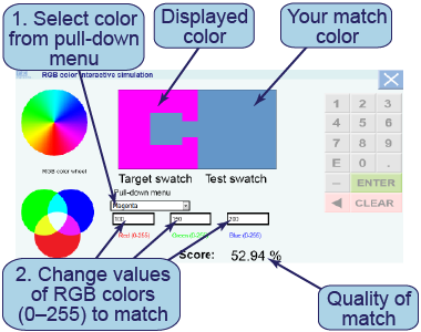 How to use the interactive simulation to make colors using RGB